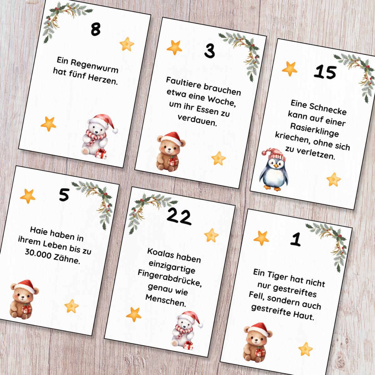 Unnützes Wissen Adventskalender für Kinder