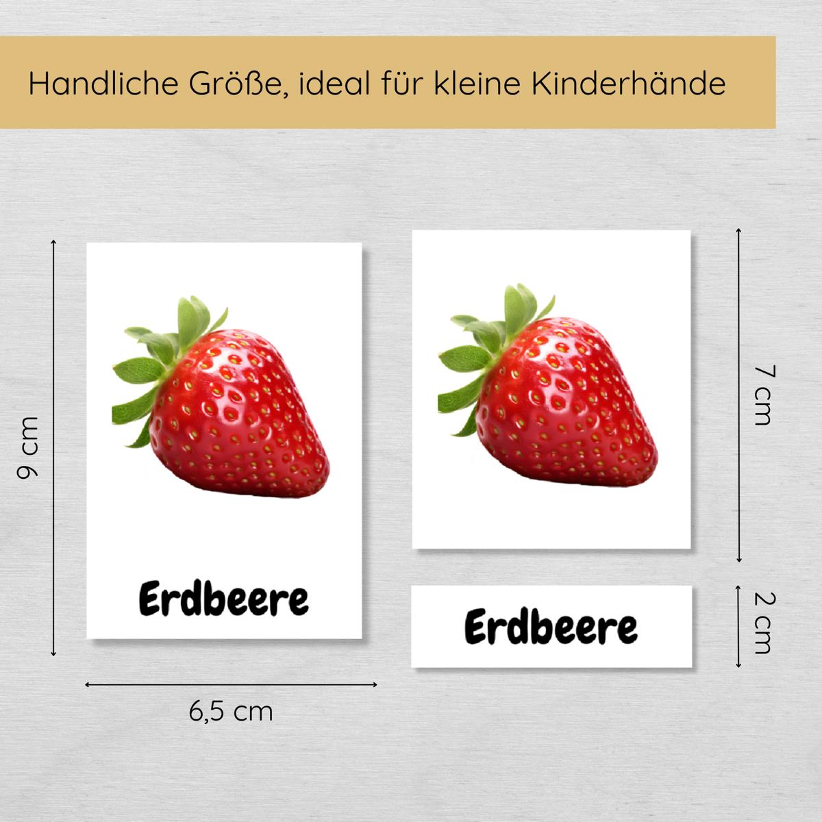 25 dreiteilige Obst Lernkarten für Kinder