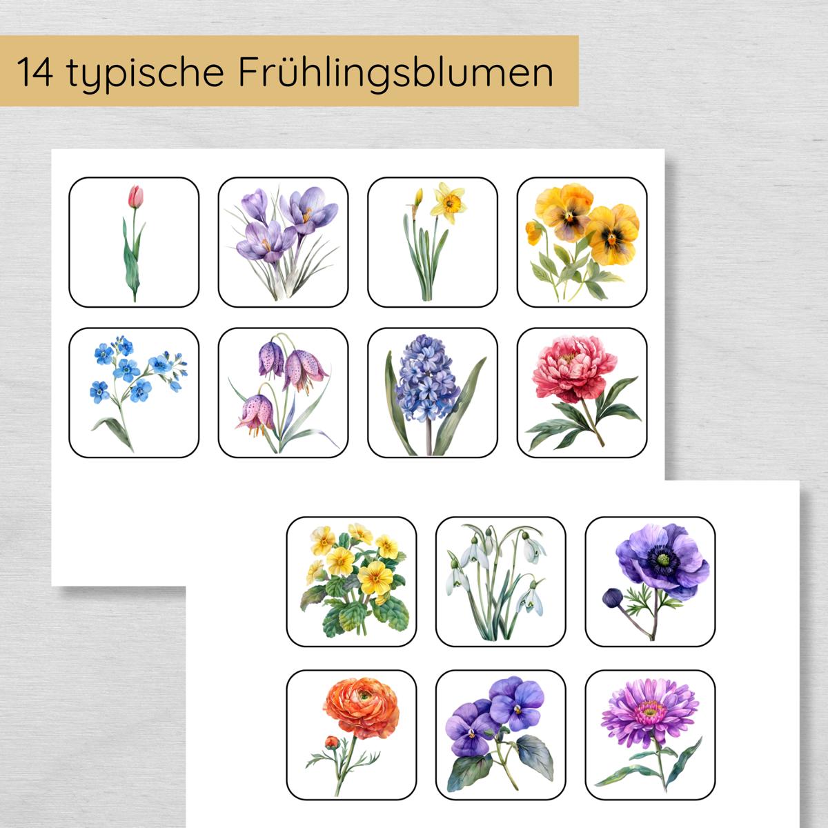 Frühlingsblumen Schatten Zuordnungsspiel für Kinder