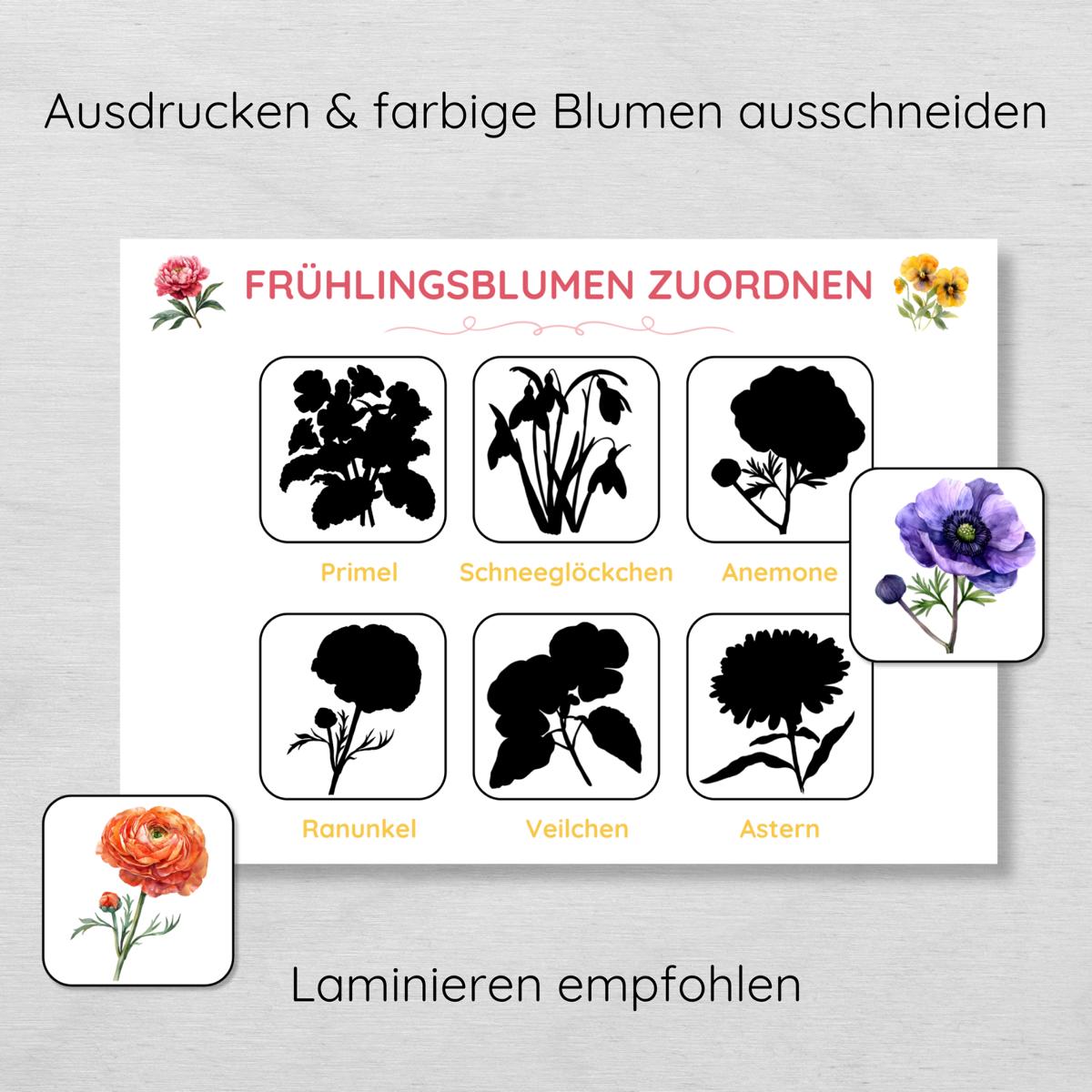 Frühlingsblumen Schatten Zuordnungsspiel für Kinder
