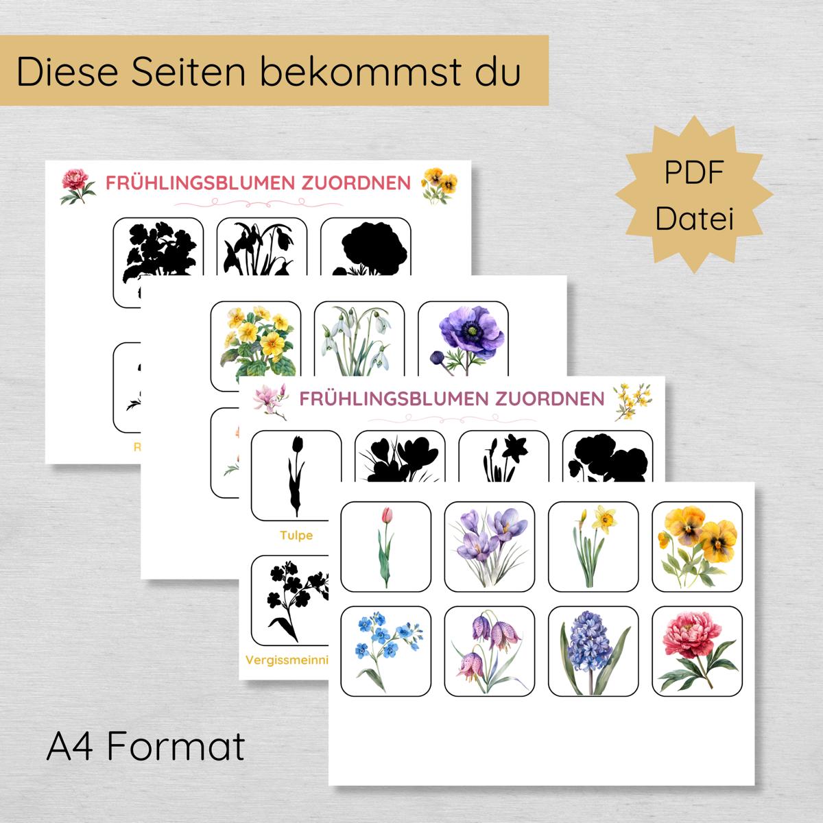 Frühlingsblumen Schatten Zuordnungsspiel für Kinder