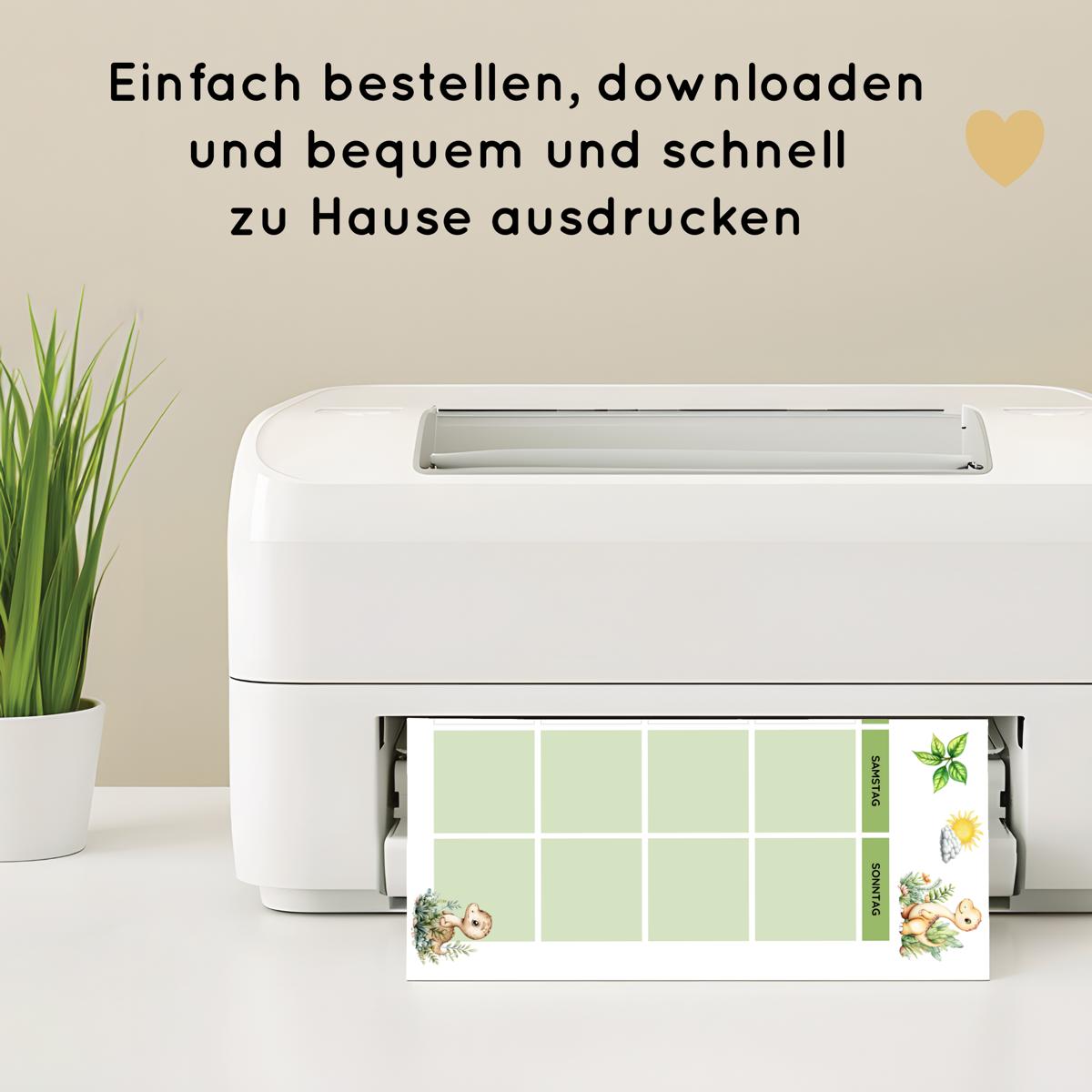 Dino Routine Set mit 160 Routinekarten & Planern