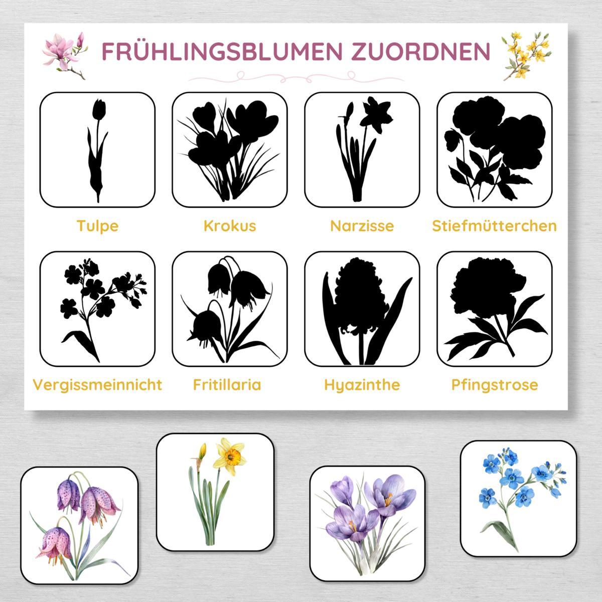 Frühlingsblumen Schatten Zuordnungsspiel für Kinder
