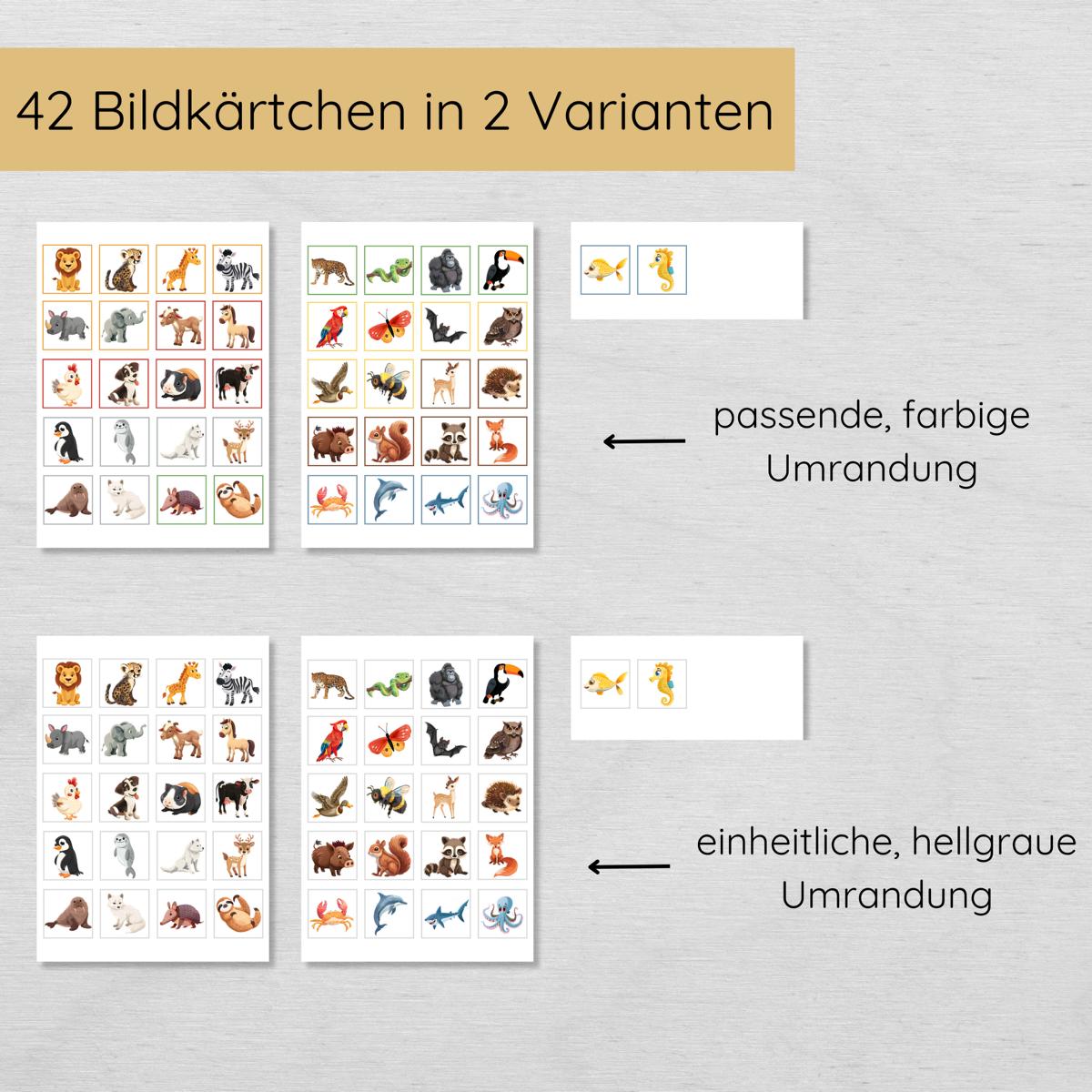 Tiere & ihre Lebensräume Sortierspiel für Kinder