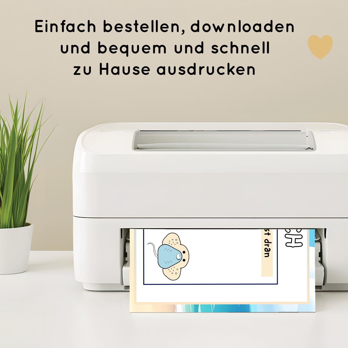 Zeichne nach - Meerestiere zeichnen lernen