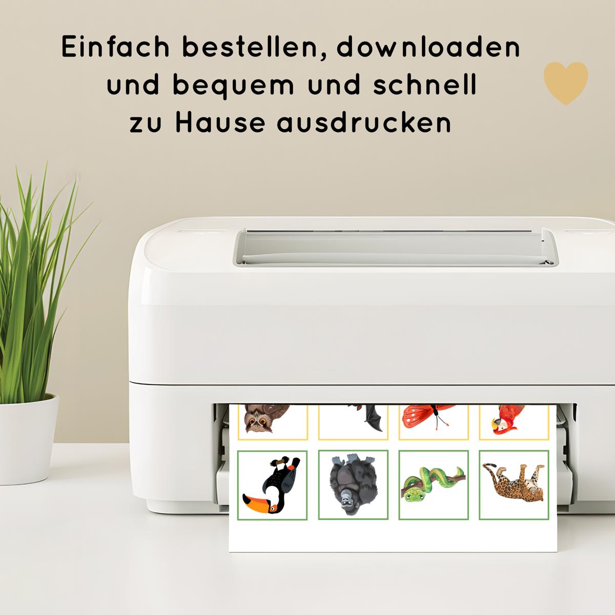 Tiere & ihre Lebensräume Sortierspiel für Kinder