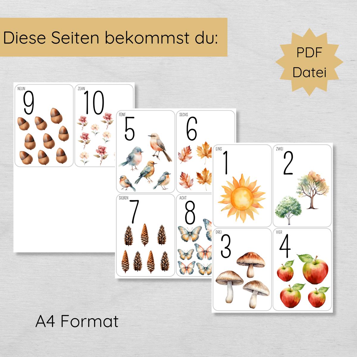 Natur Zahlen 1 bis 10 Lernkarten für Kinder