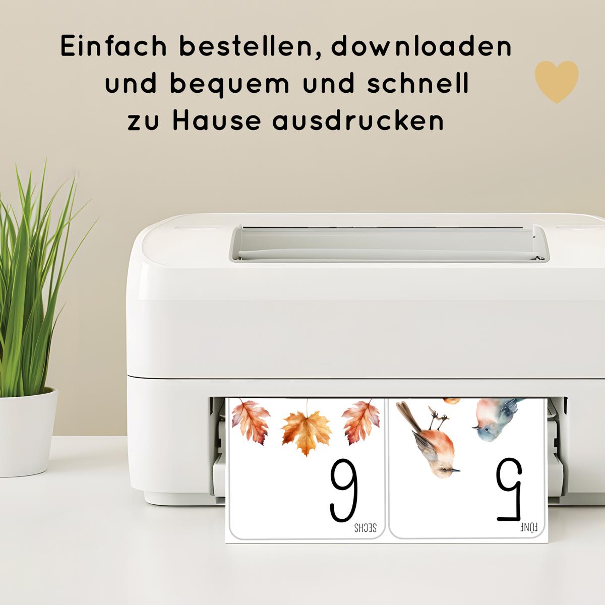 Natur Zahlen 1 bis 10 Lernkarten für Kinder