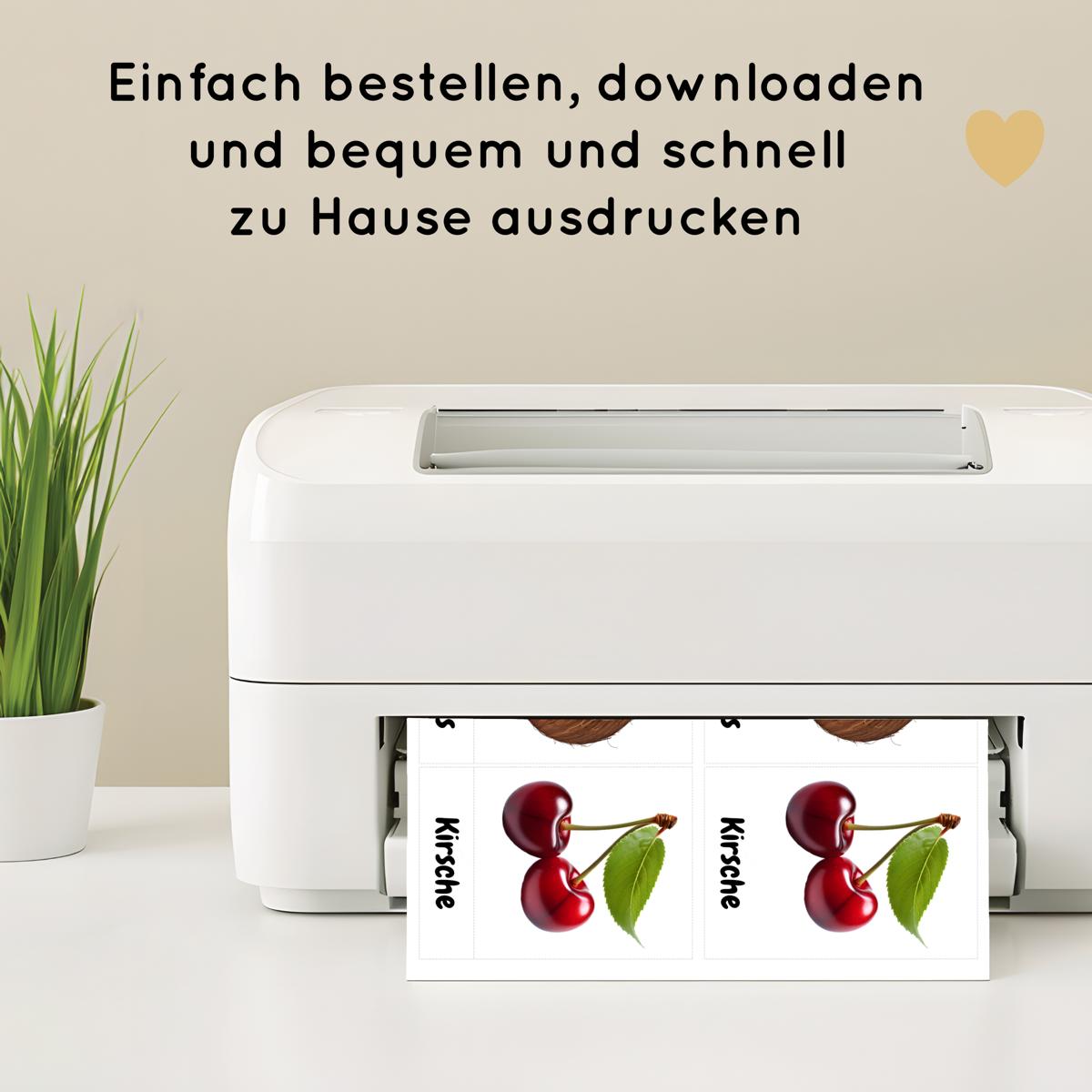 25 dreiteilige Obst Lernkarten für Kinder