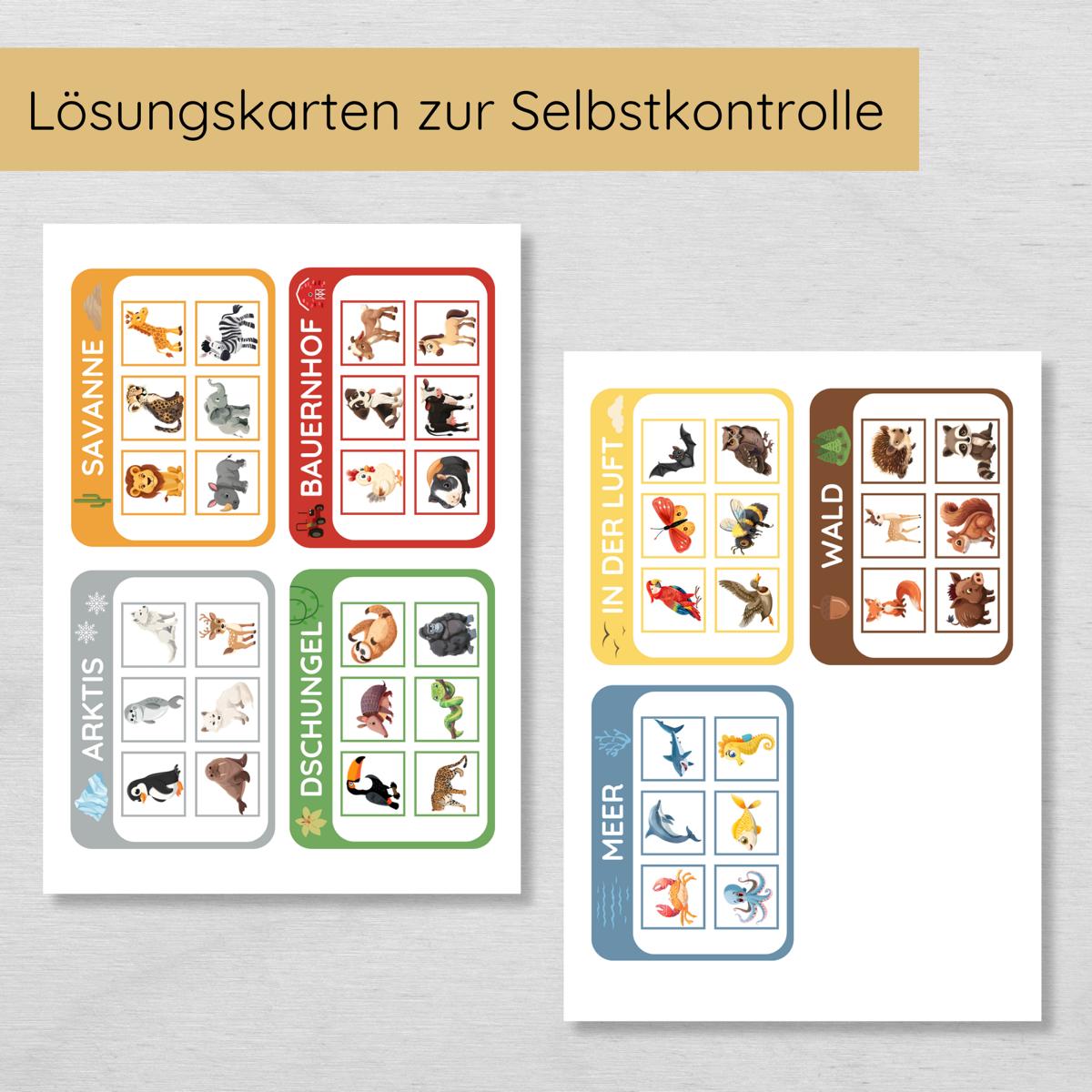 Tiere & ihre Lebensräume Sortierspiel für Kinder