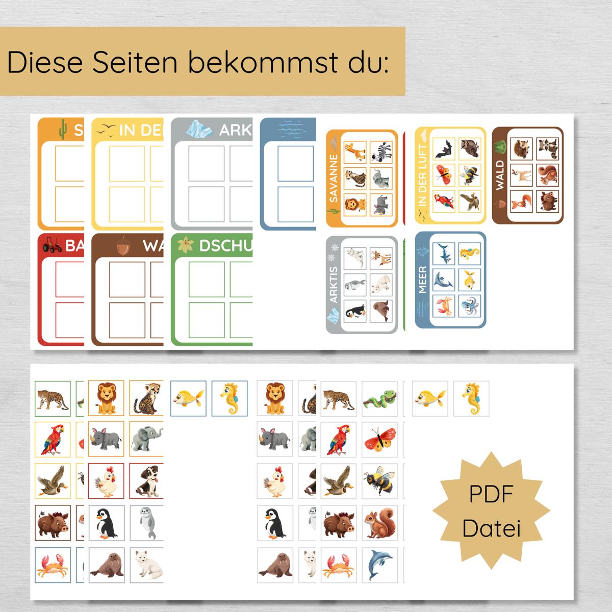 Tiere & ihre Lebensräume Sortierspiel für Kinder
