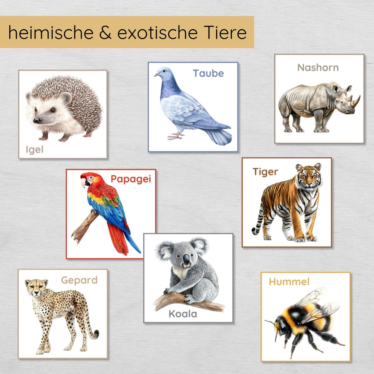 Tiermuster Legespiel für Kinder, auch als Memory nutzbar