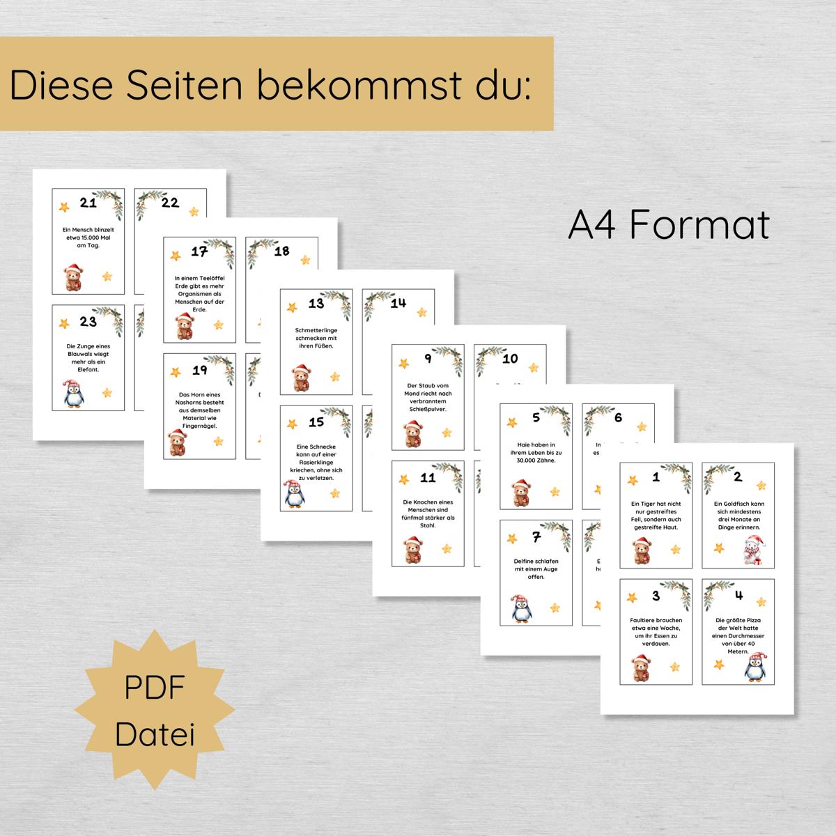 Unnützes Wissen Adventskalender für Kinder