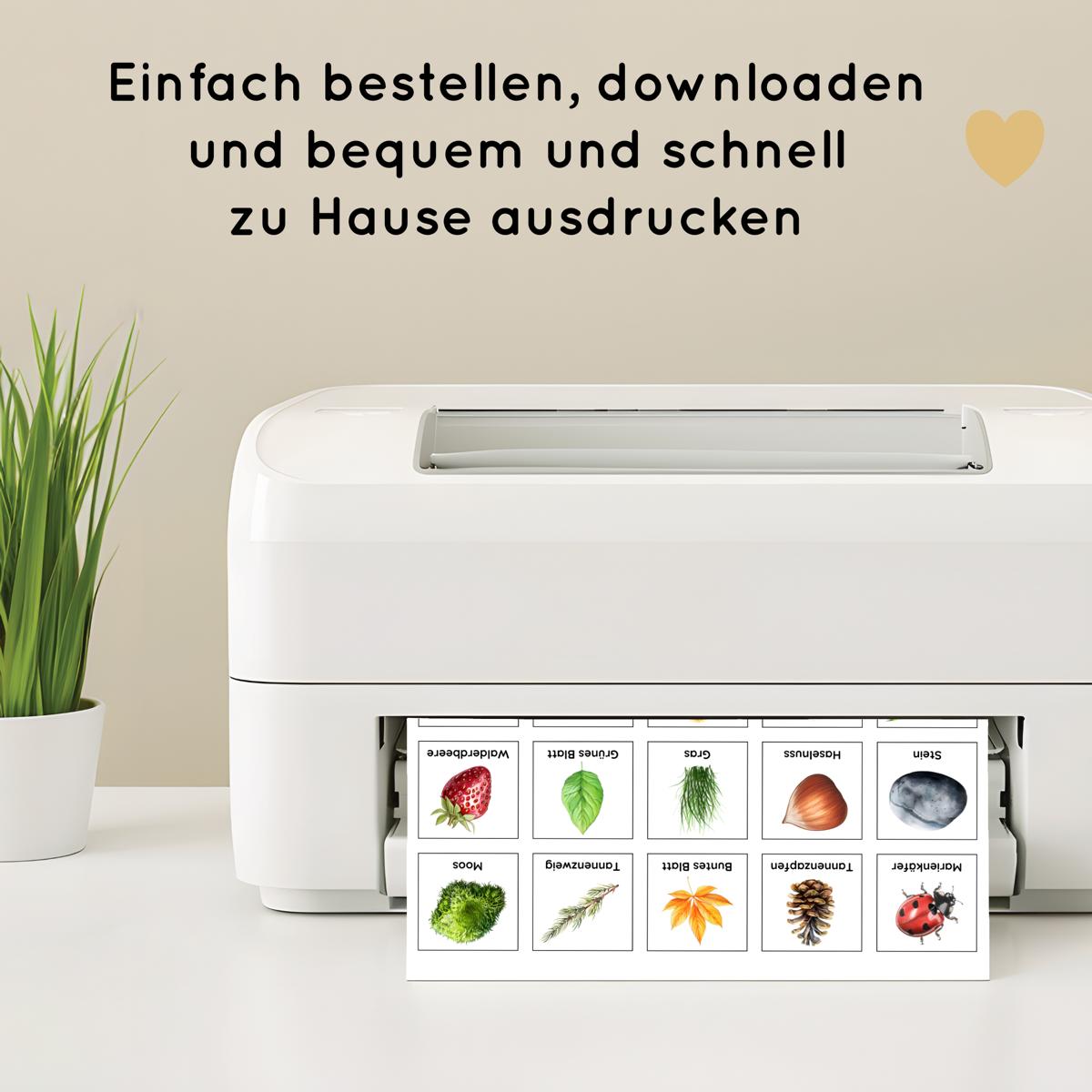 Wald Schatzsuche im Eierkarton