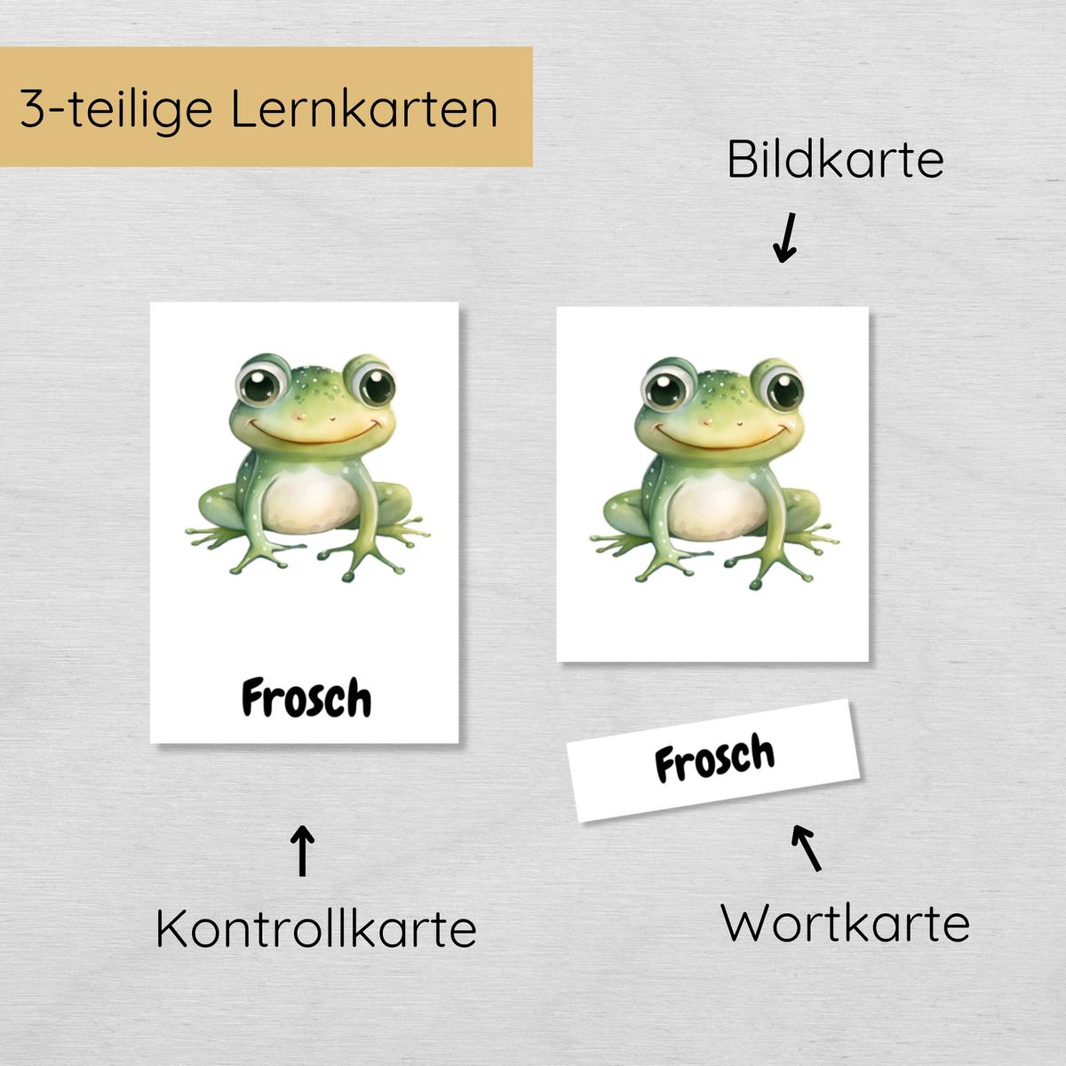15 dreiteilige Lernkarten mit den Tieren des Waldes