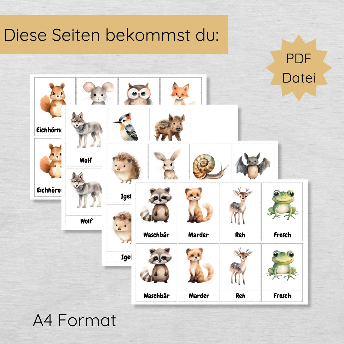 15 dreiteilige Lernkarten mit den Tieren des Waldes