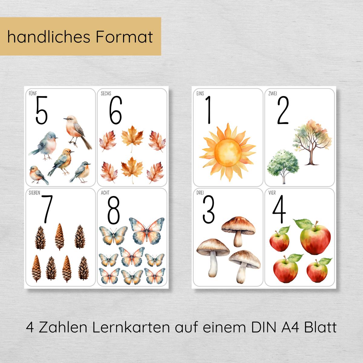 Natur Zahlen 1 bis 10 Lernkarten für Kinder