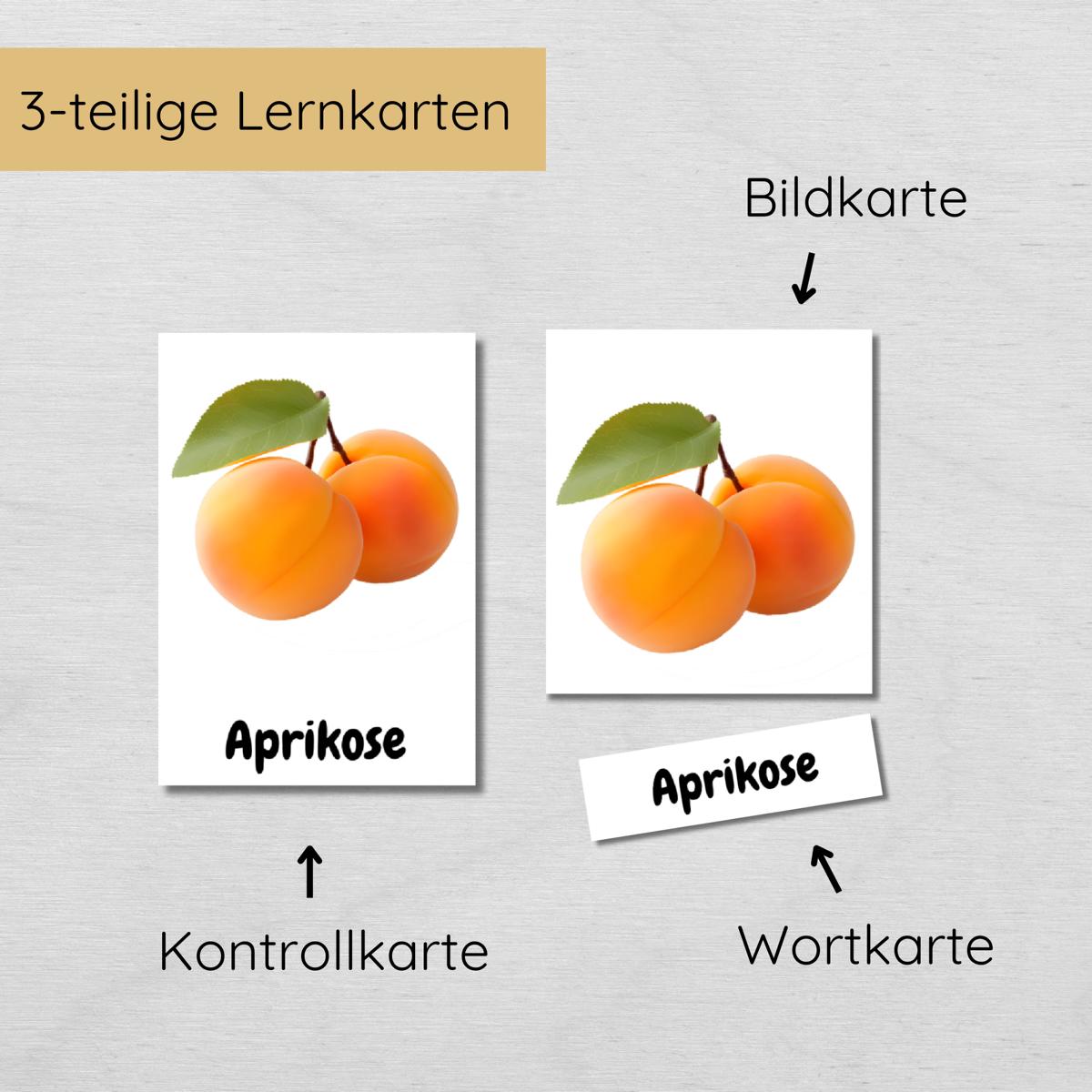 25 dreiteilige Obst Lernkarten für Kinder