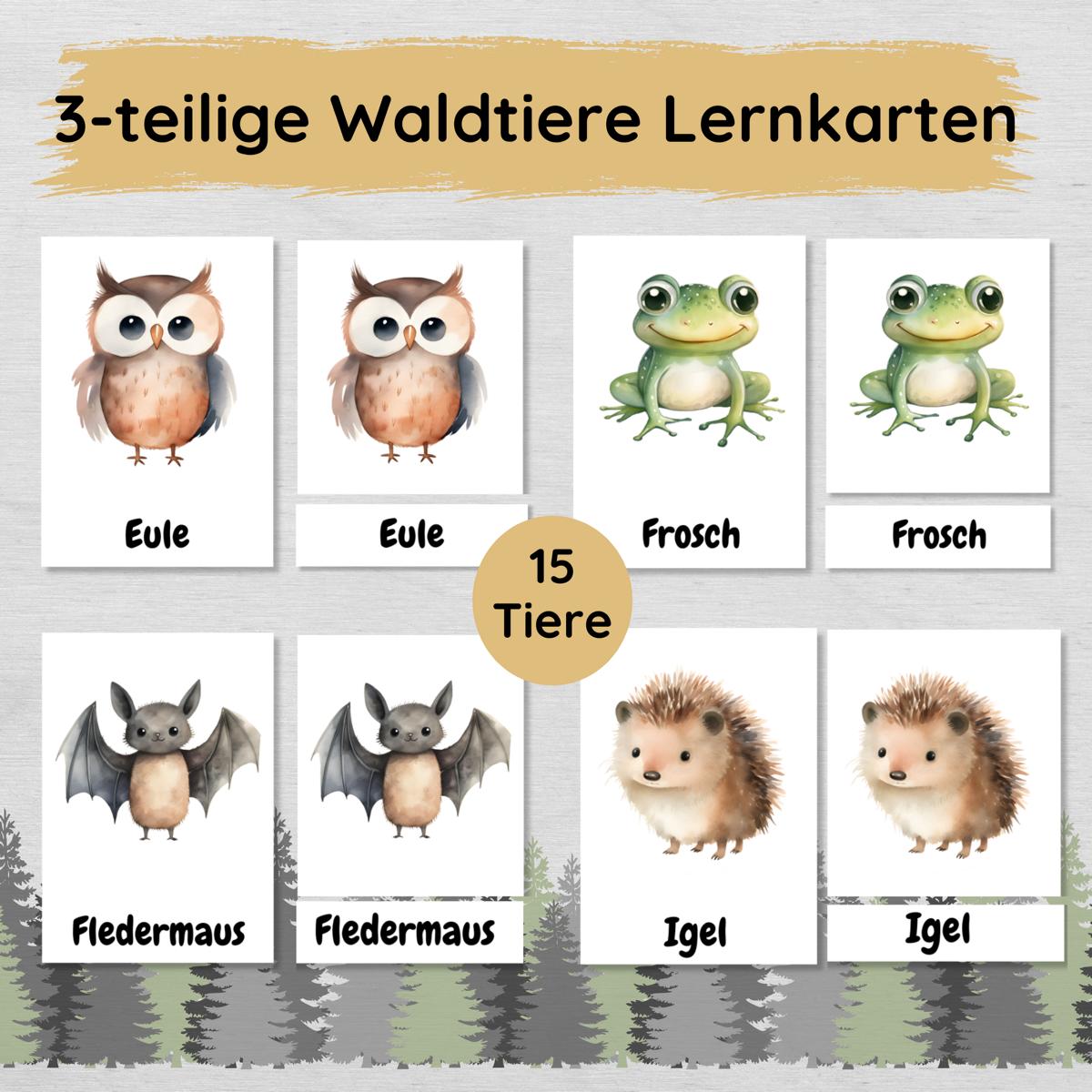 15 dreiteilige Lernkarten mit den Tieren des Waldes