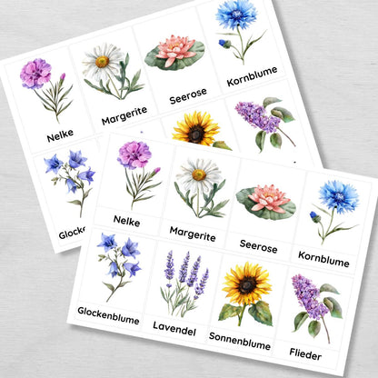 28 dreiteilige Blumen Lernkarten für Kinder