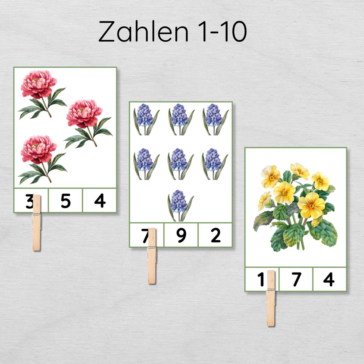 Blumen Klammerkarten Zahlen 1-10 für Kinder