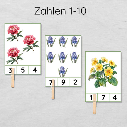 Blumen Klammerkarten Zahlen 1-10 für Kinder