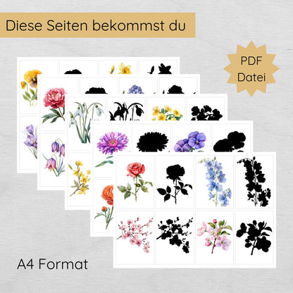 Blumen Schatten Zuordnungsspiel für Kinder