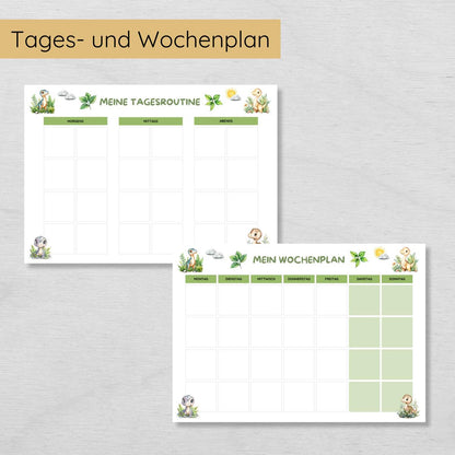 Dino Routine Set mit 160 Routinekarten & Planern