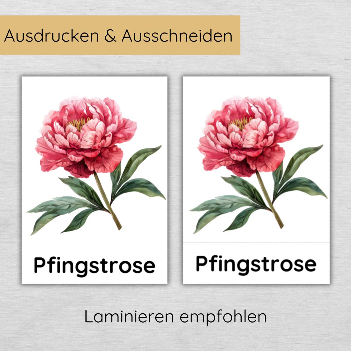 28 dreiteilige Blumen Lernkarten für Kinder