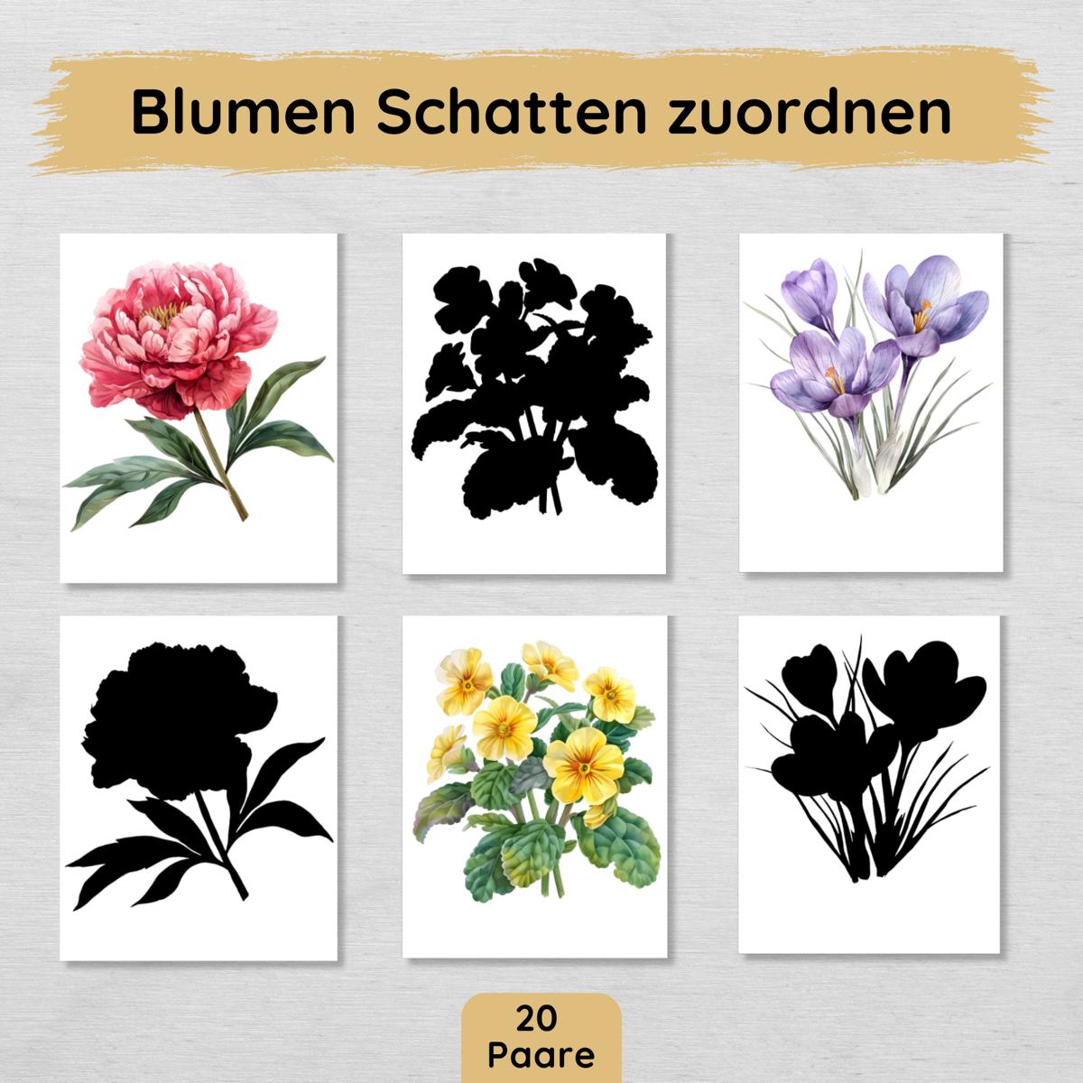 Blumen Schatten Zuordnungsspiel für Kinder
