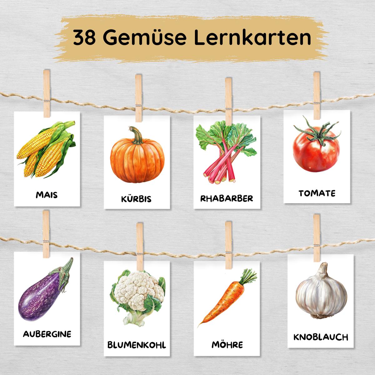 38 Gemüse Lernkarten für Kinder, Gemüse Bildkarten