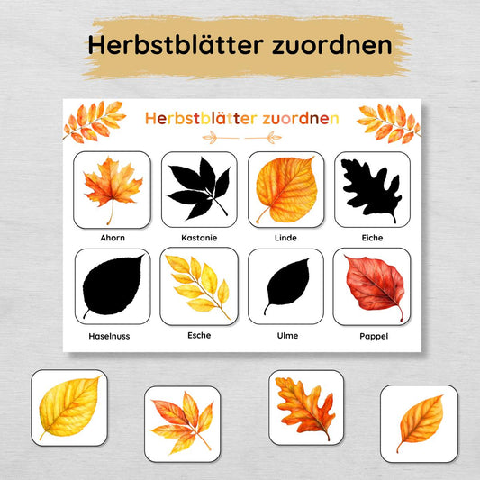 Herbstblätter Schatten Zuordnungsspiel für Kinder