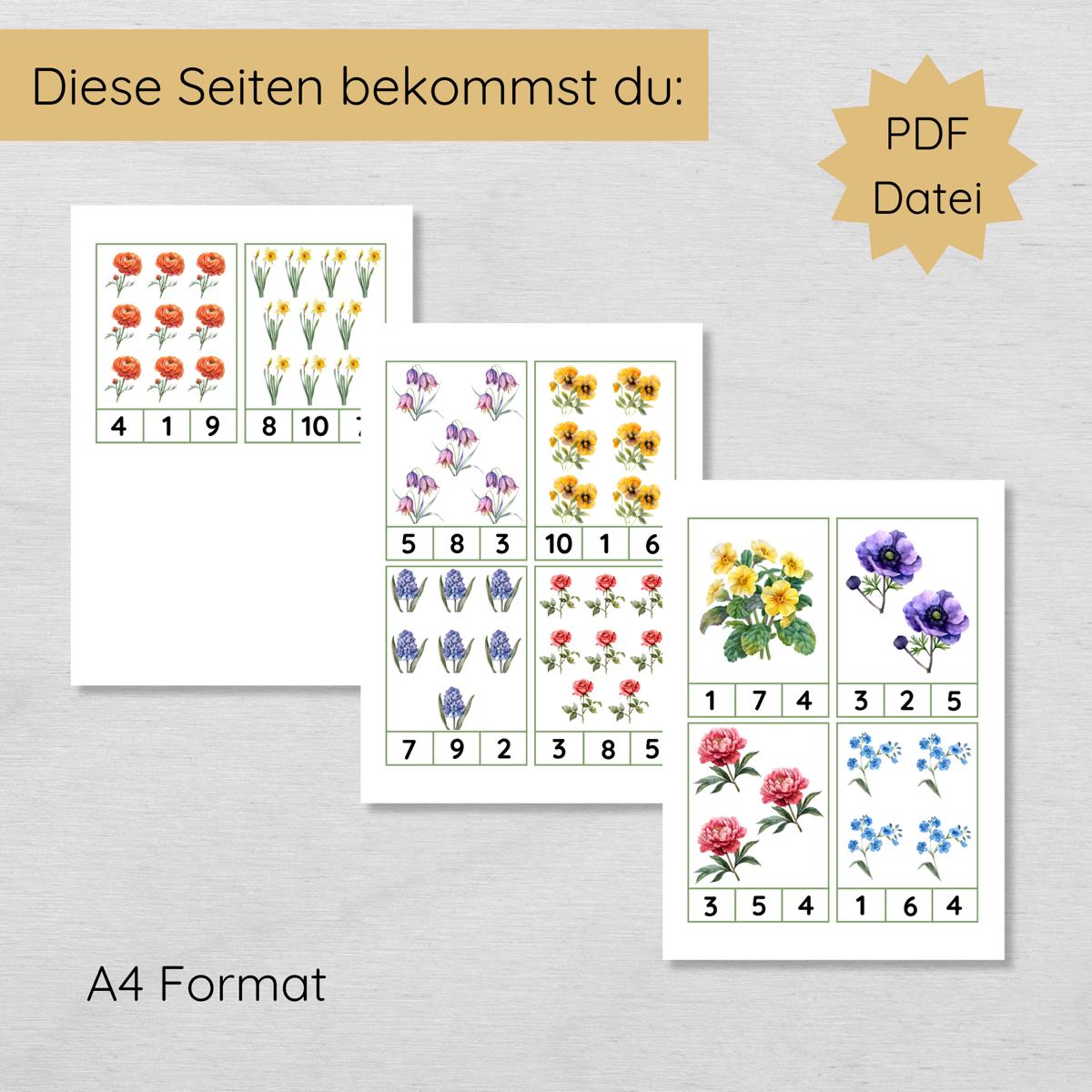 Blumen Klammerkarten Zahlen 1-10 für Kinder