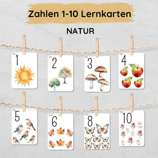 Natur Zahlen 1 bis 10 Lernkarten für Kinder