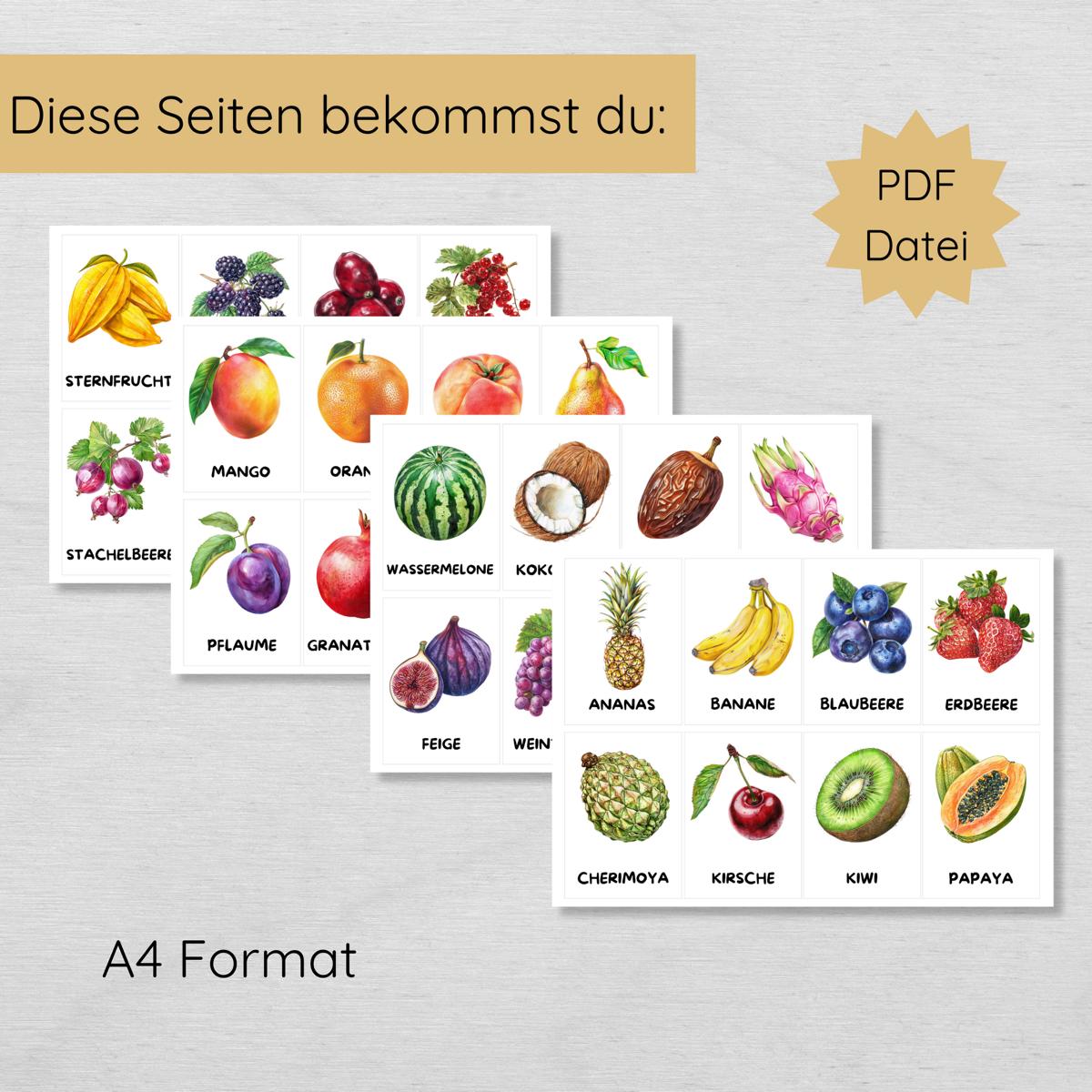 30 Obst Lernkarten für Kinder, Früchte Bildkarten