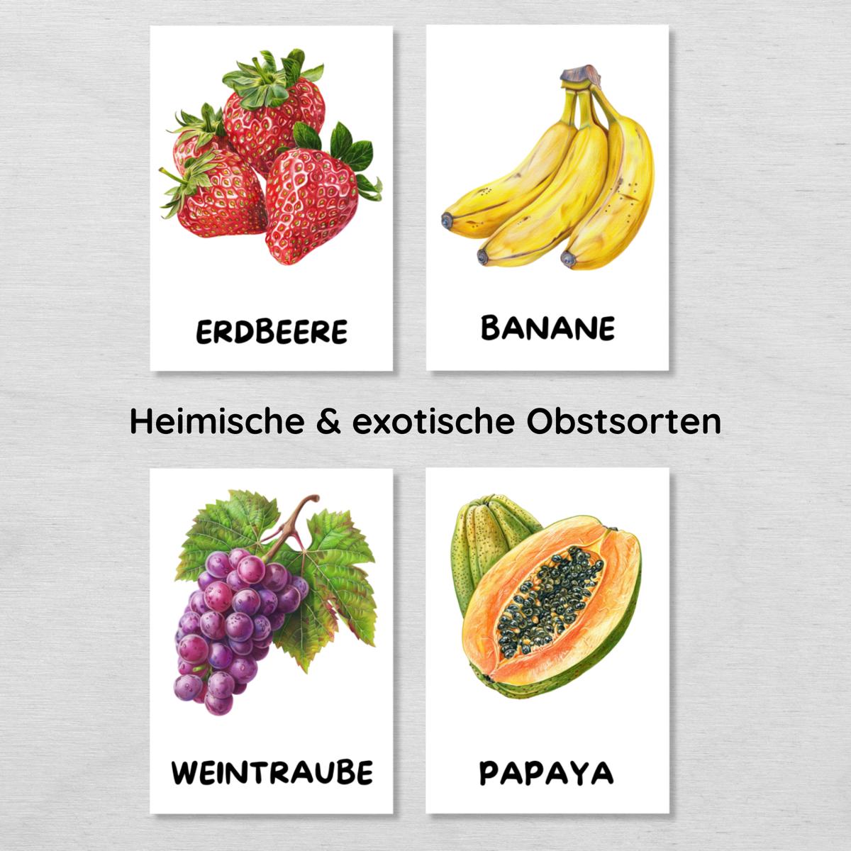 30 Obst Lernkarten für Kinder, Früchte Bildkarten