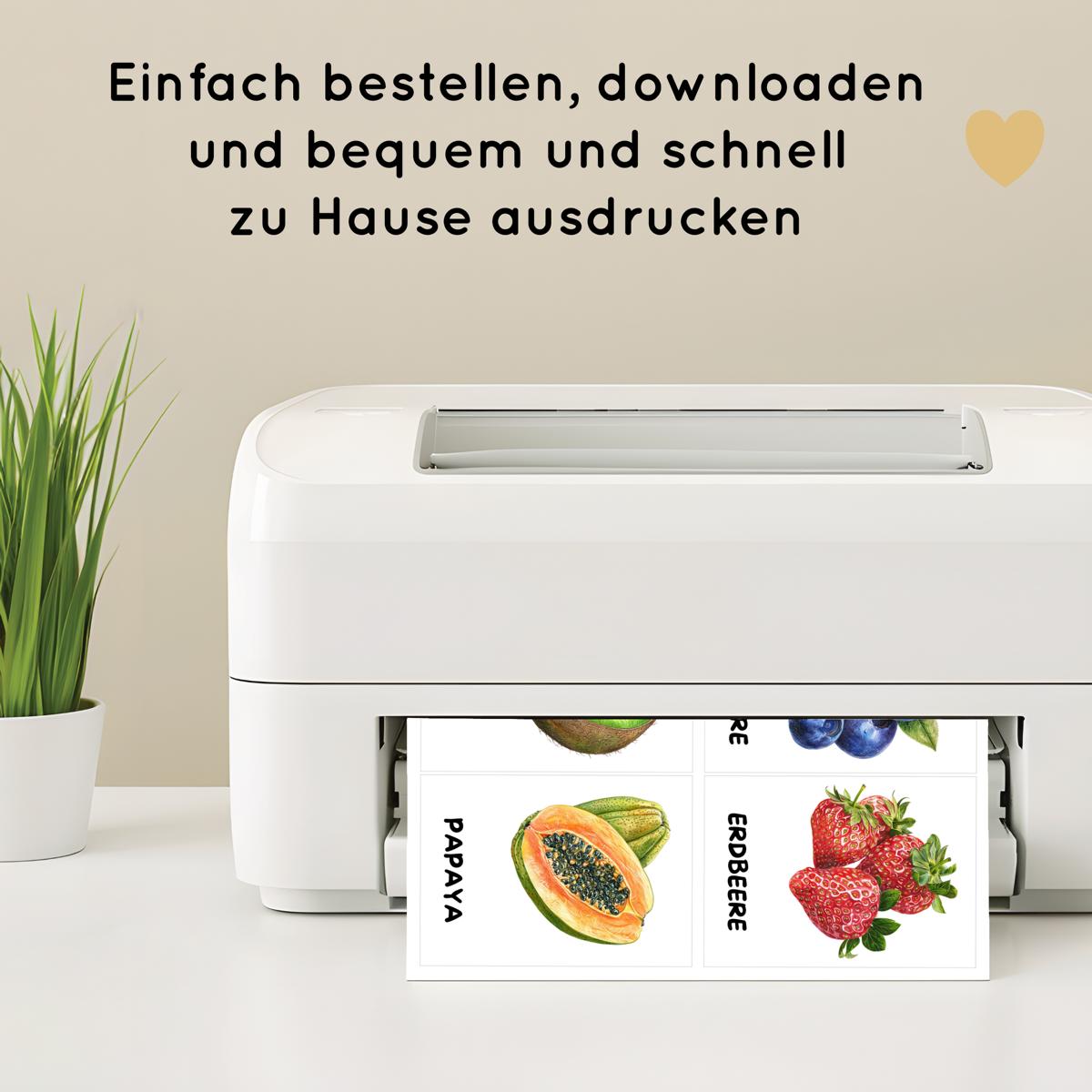 30 Obst Lernkarten für Kinder, Früchte Bildkarten