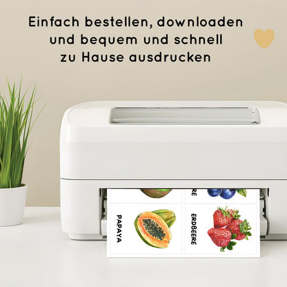 30 Obst Lernkarten für Kinder, Früchte Bildkarten
