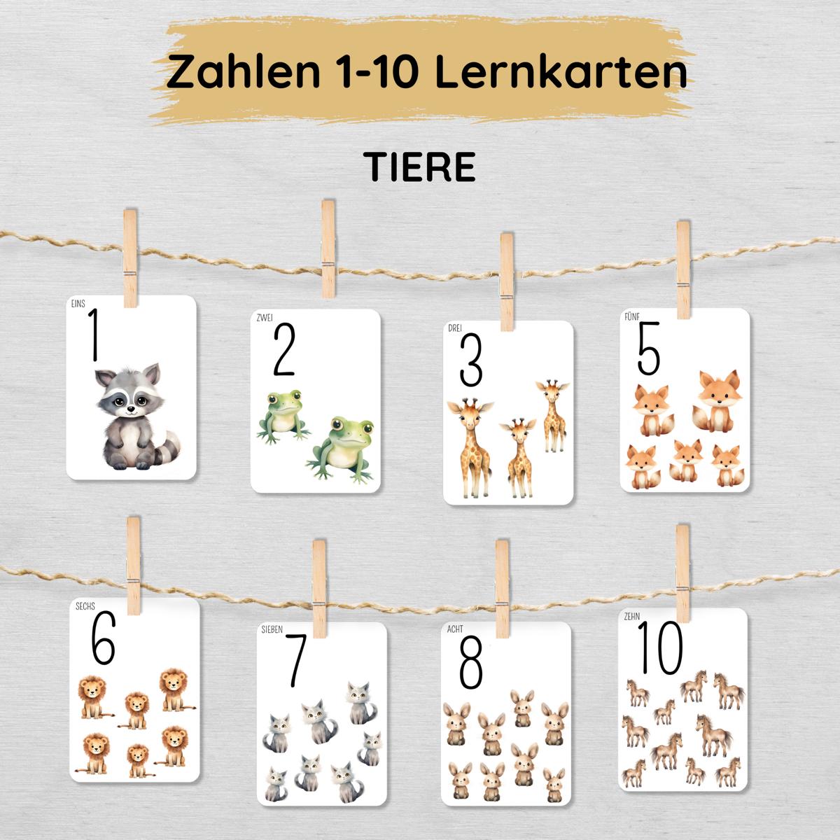 Tiere Zahlen 1 bis 10 Lernkarten für Kinder