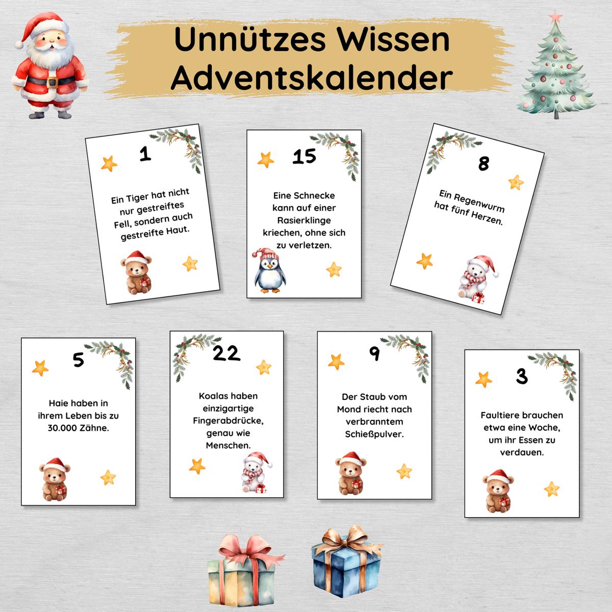 Unnützes Wissen Adventskalender für Kinder