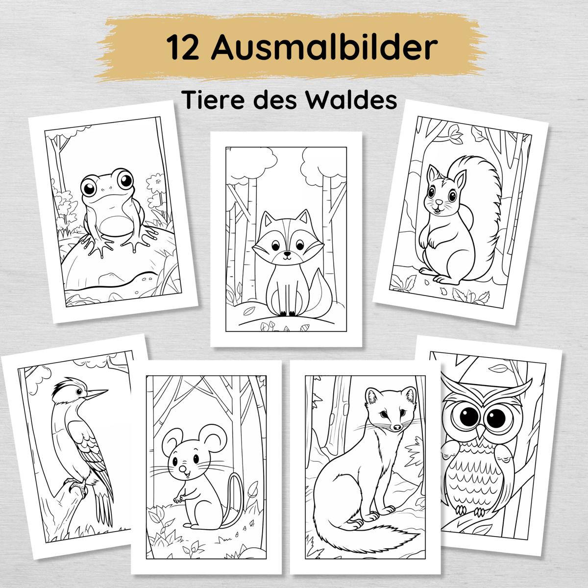 12 Waldtiere Ausmalbilder für Kinder