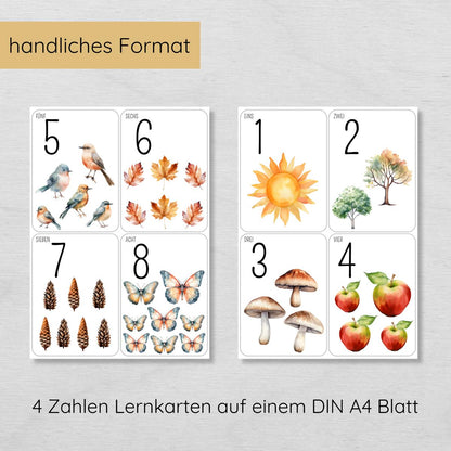 Natur Zahlen 1 bis 10 Lernkarten für Kinder