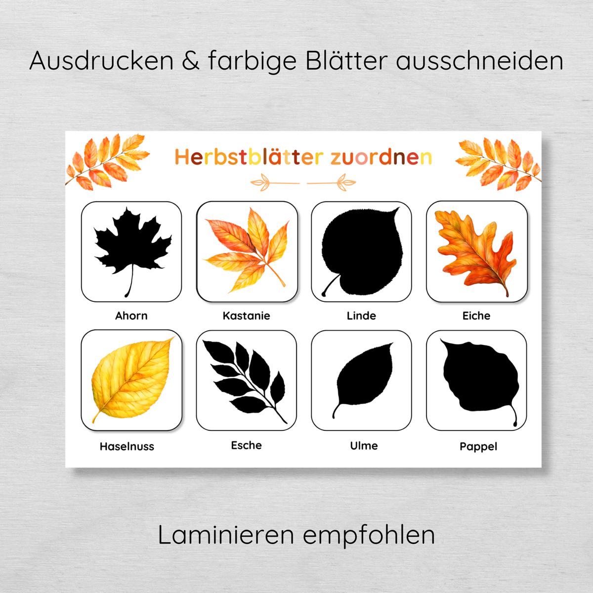 Herbstblätter Schatten Zuordnungsspiel für Kinder